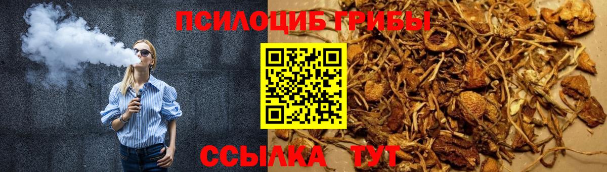хочу   Вход с VPN  Каспийск  Псилоцибиновые грибы MAGIC MUSHROOMS 